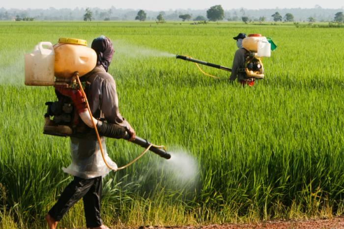 pesticide-application